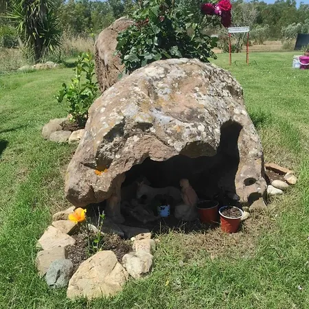 Sensorial Experience *