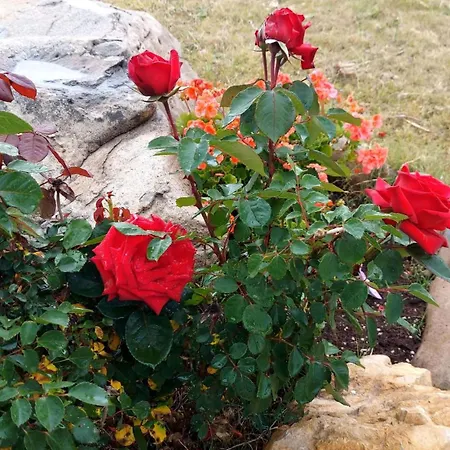 Sensorial Experience Appartement