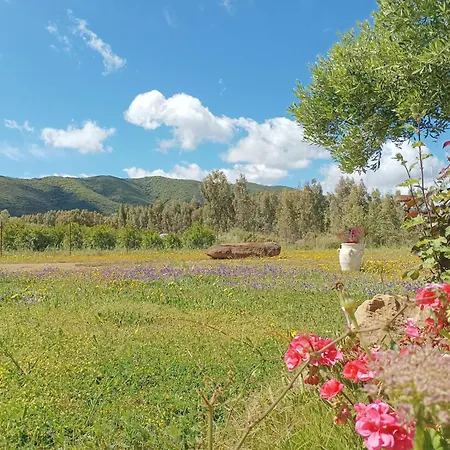 Sensorial Experience Villamassargia