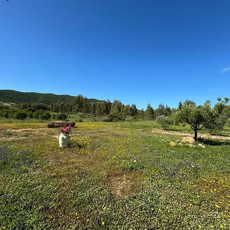 Lejlighed Sensorial Experience