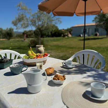 Sensorial Experience Villamassargia