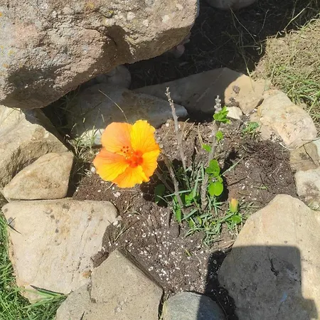 아파트 Sensorial Experience *