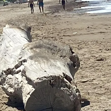 Sensorial Experience 아파트