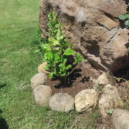 Sensorial Experience * Villamassargia