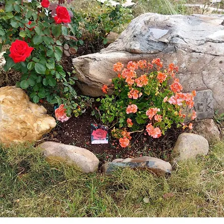 Sensorial Experience 아파트 *