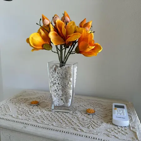 Sensorial Experience Apartment Villamassargia